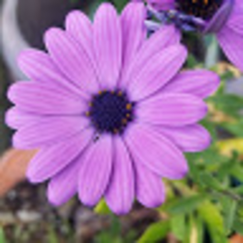 Meet your Posher, Caitlin!